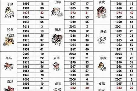 05年属什么|2005年属什么生肖 2005年属什么的生肖